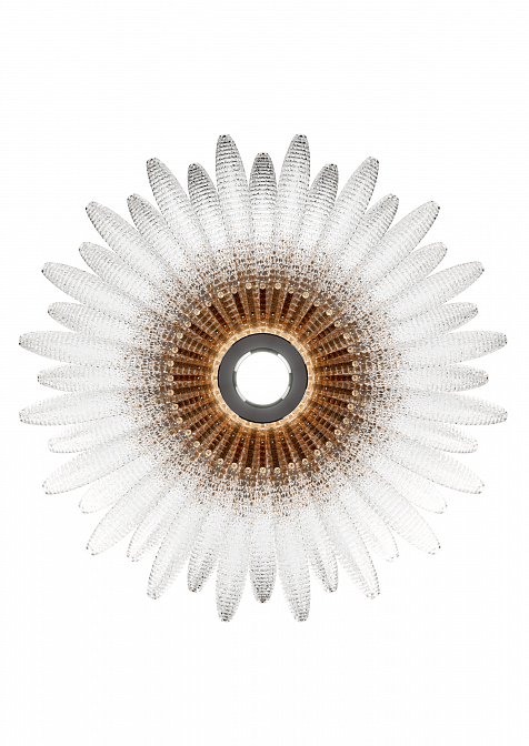Agave