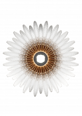Agave