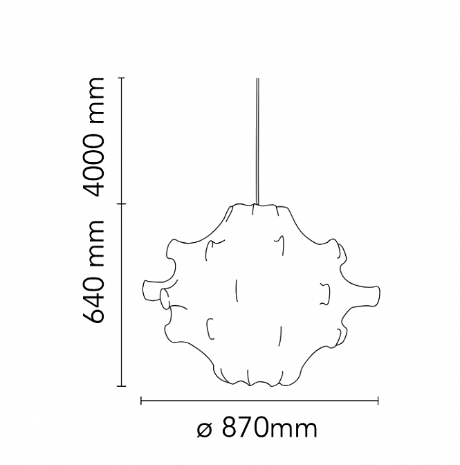 Taraxacum 1Taraxacum 2