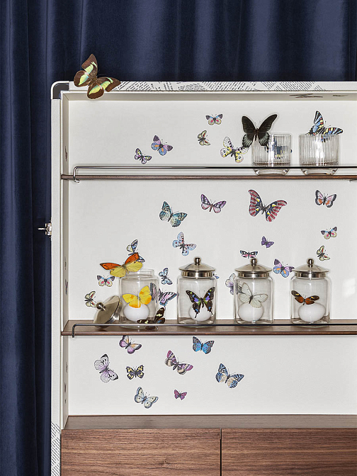 Isidoro Ultime Notizie 