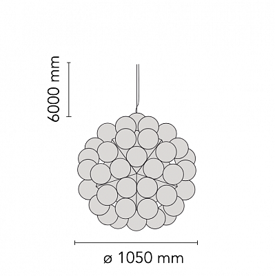 Taraxacum 88