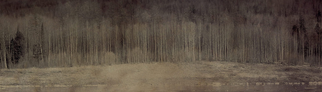 Клавихо-Телепнев В. Из серии «Путешествие по Подкаменной Тунгуске на буксире “Капитан Очеретько”»