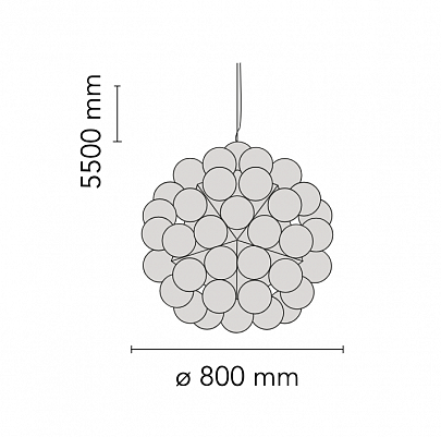 Taraxacum 88